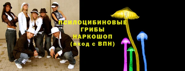 дживик Армянск