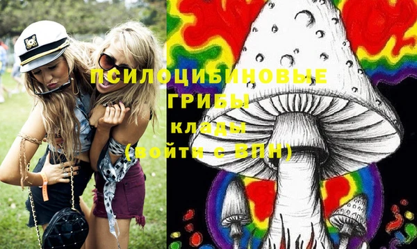 дживик Армянск