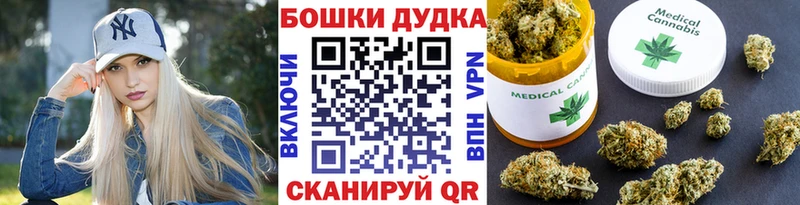 Канабис SATIVA & INDICA  Зубцов 